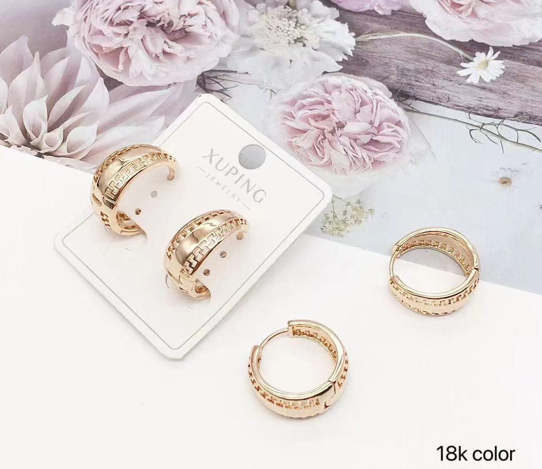 Hypoallergenic Hoops Earrings